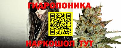 стаф Балаково
