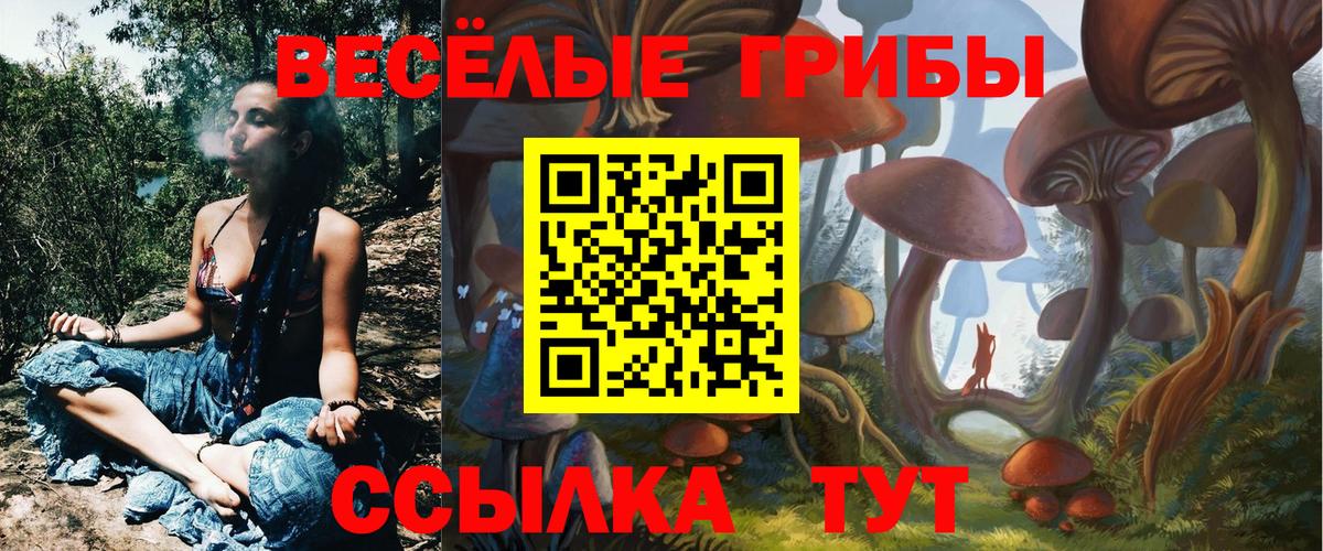 Галлюциногенные грибы прущие грибы  Вход с VPN  Дербент  Галлюциногенные грибы MAGIC MUSHROOMS 